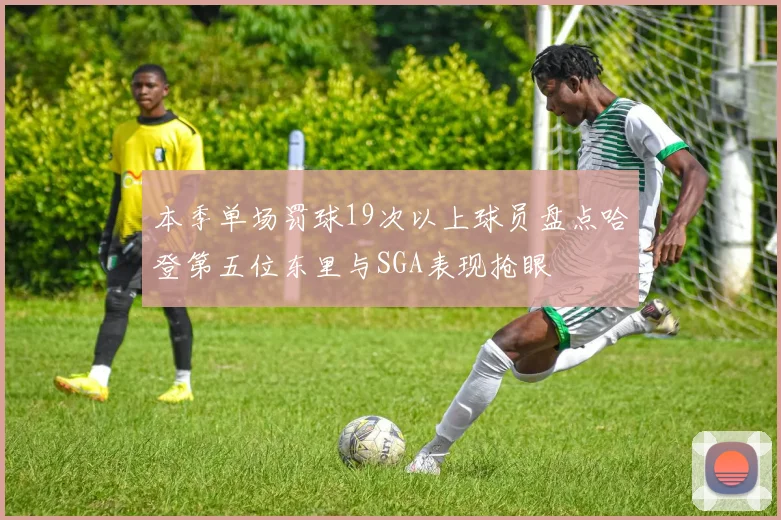本季单场罚球19次以上球员盘点哈登第五位东里与SGA表现抢眼